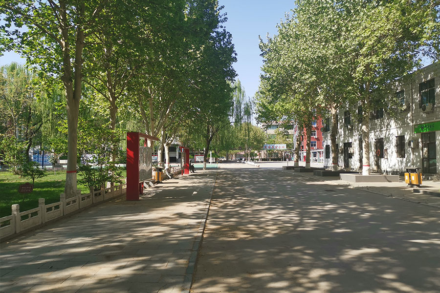 2021年河北省高职单招考试一类及对口建筑类 一分一档表