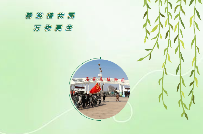 万物更生丨春游植物园